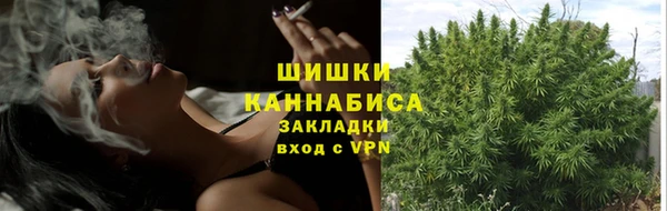а пвп мука Богданович
