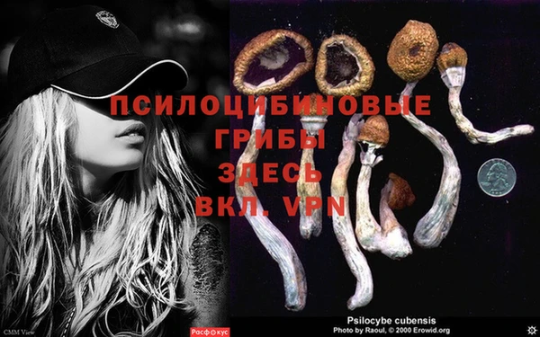 а пвп мука Богданович